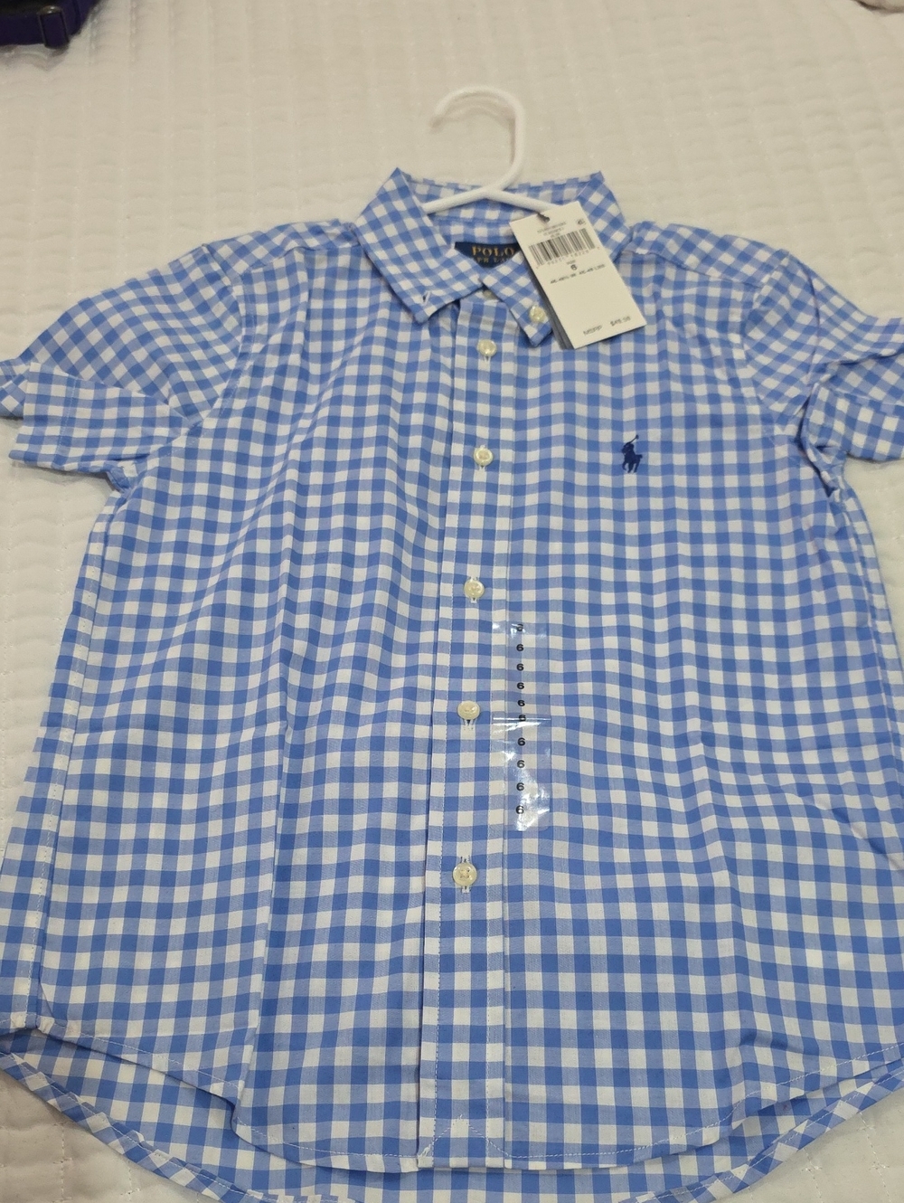 Polo by Ralph Lauren Blue & White Gingham Short-Sleeve Button-Down